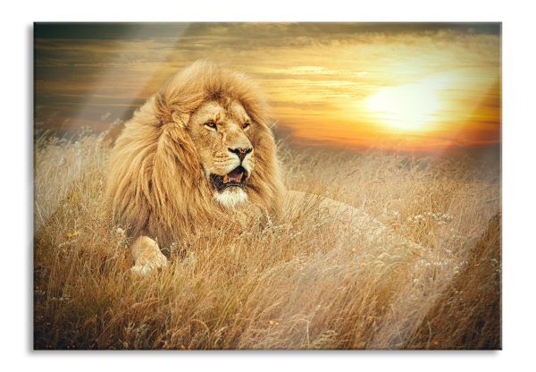 mächtiger Löwe, Glasbild Jetzt online