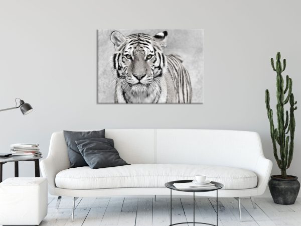 Anmutiger Tiger in, Glasbild Jetzt online – Bild 2