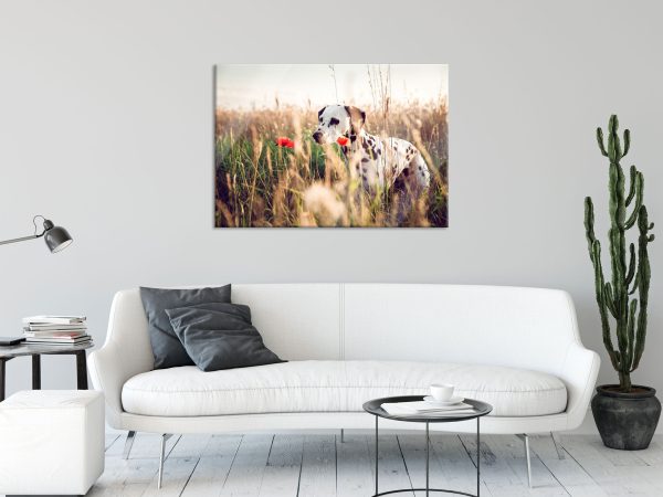 Neugieriger Hund im Feld, Glasbild Online – Bild 2