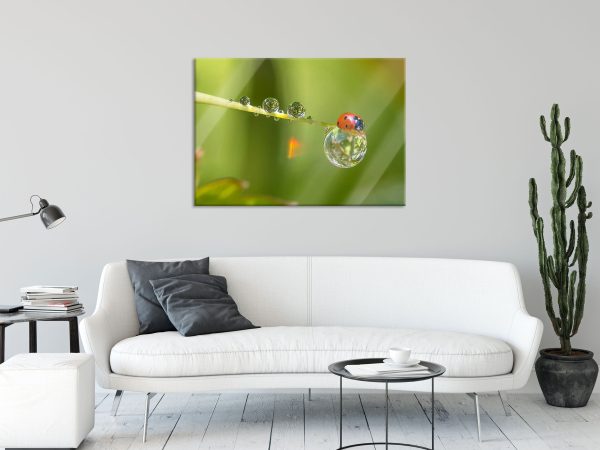 Marienkäfer Wassertropfen, Glasbild Angebot – Bild 2