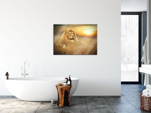 mächtiger Löwe, Glasbild Jetzt online – Bild 4
