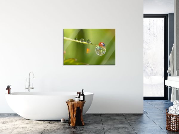 Marienkäfer Wassertropfen, Glasbild Angebot – Bild 4