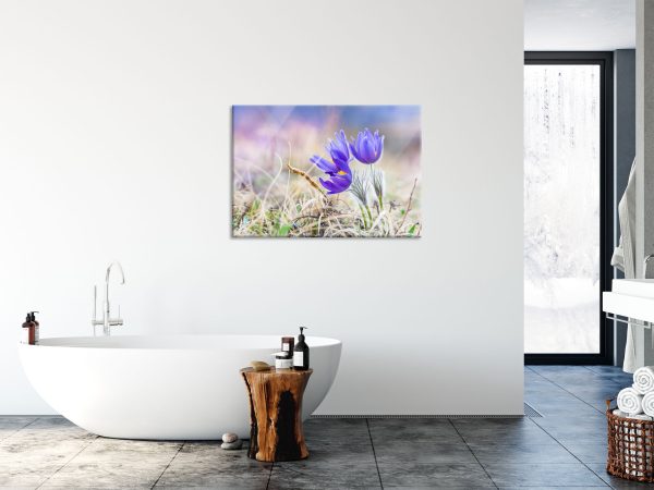 schöne Krokusse, Glasbild Zu verkaufen – Bild 4