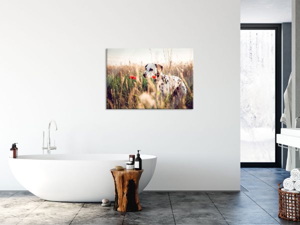Neugieriger Hund im Feld, Glasbild Online – Bild 4
