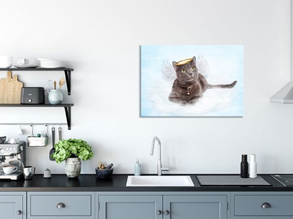 Katzen-Engel auf Wolke, Glasbild Online – Bild 3