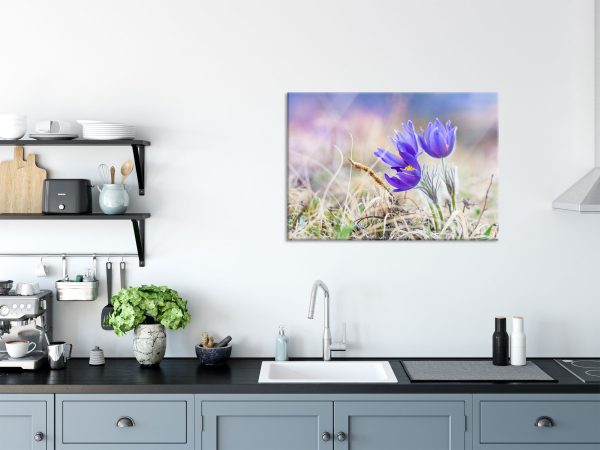 schöne Krokusse, Glasbild Zu verkaufen – Bild 3