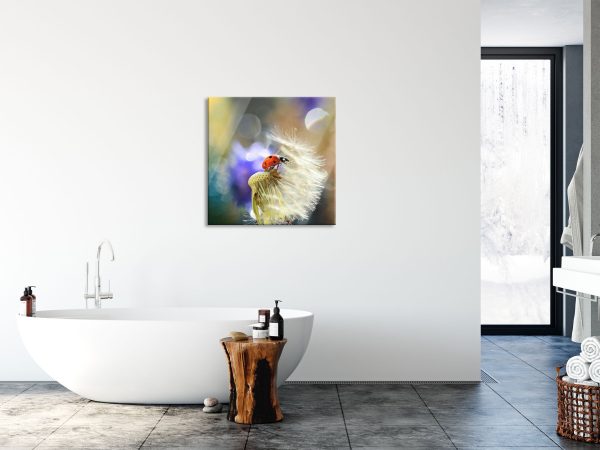 Marienkäfer auf Pusteblume, Glasbild Quadratisch Online-Schn?ppchen – Bild 4