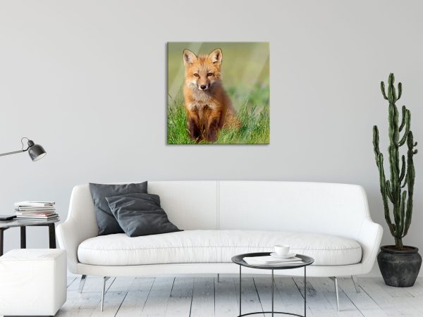 Kleiner Fuchs, Glasbild Quadratisch Jetzt online – Bild 2