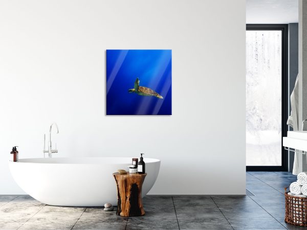 Alte Schildkröte im Meer, Glasbild Quadratisch Angebot – Bild 4