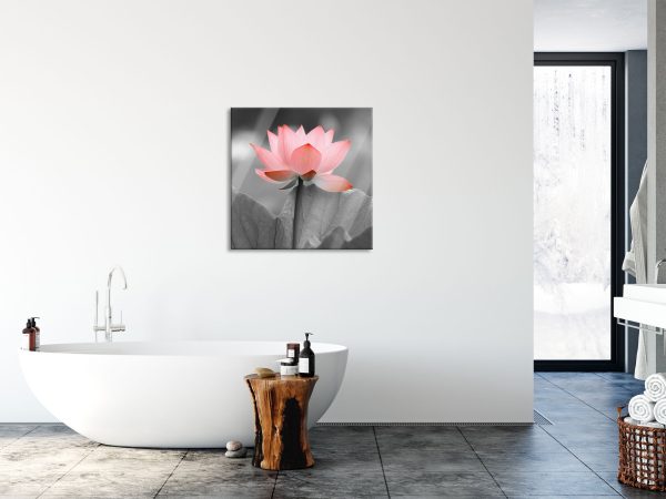 wunderschöner Lotus, Glasbild Quadratisch Online-Schn?ppchen – Bild 4