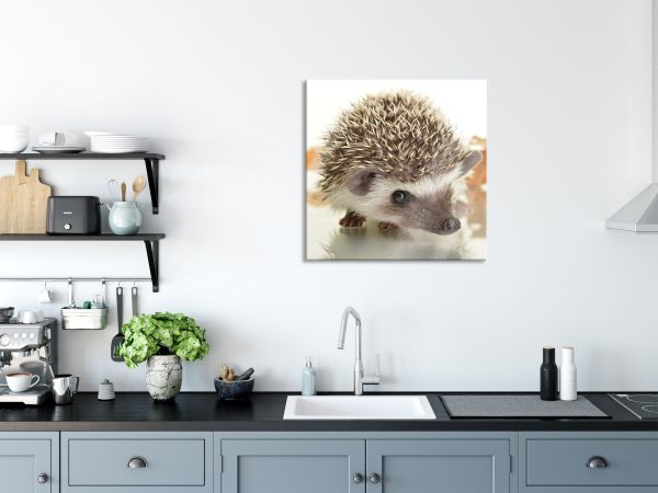 Süßer Igel, Glasbild Quadratisch Online-Schn?ppchen – Bild 3