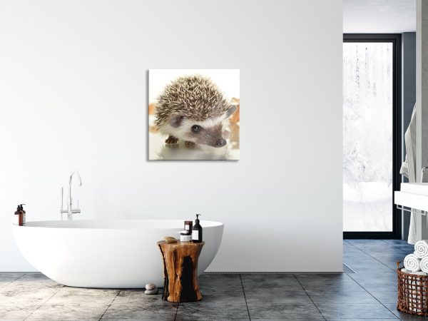 Süßer Igel, Glasbild Quadratisch Online-Schn?ppchen – Bild 4