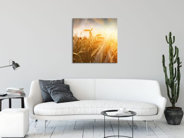 Getreide im Sonnenlicht, Glasbild Quadratisch Angebot – Bild 2