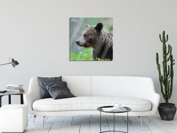 Kleiner Bär, Glasbild Quadratisch Jetzt online – Bild 2