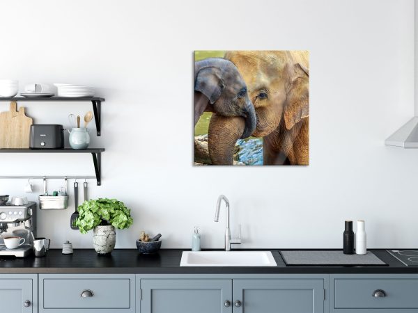 Elefantenmutter mit Kalb, Glasbild Quadratisch Jetzt online – Bild 3