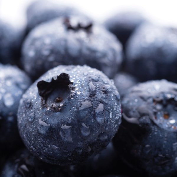 fruchtige Heidelbeeren, Glasbild Quadratisch Online – Bild 5
