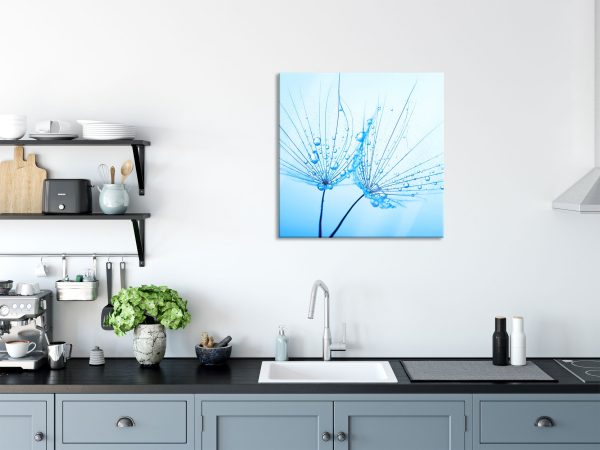 Pusteblumen mit Tautropfen, Glasbild Quadratisch Mode – Bild 3