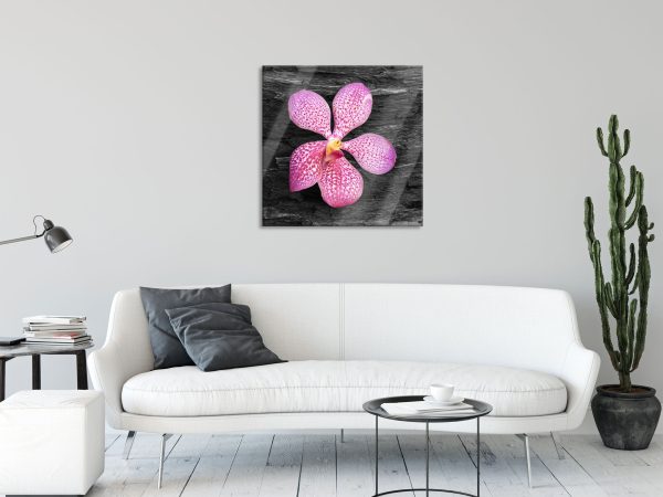 Orchideenblüte auf Rinde, Glasbild Quadratisch Zu verkaufen – Bild 2