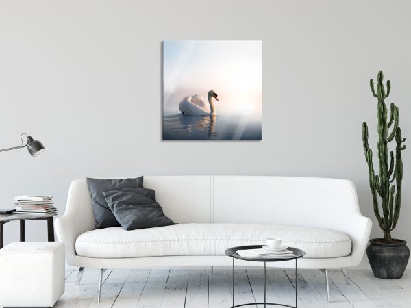 traumhafter weißer Schwan im See, Glasbild Quadratisch Schn?ppchen – Bild 2