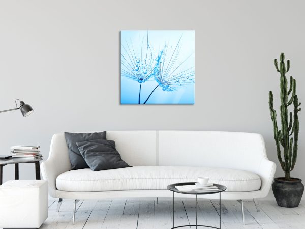 Pusteblumen mit Tautropfen, Glasbild Quadratisch Mode – Bild 2