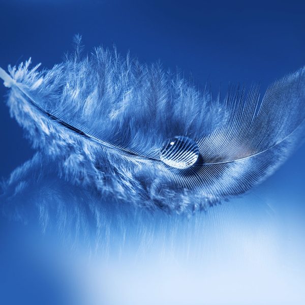 Wassertropfen auf Feder, Glasbild Quadratisch Mode – Bild 5