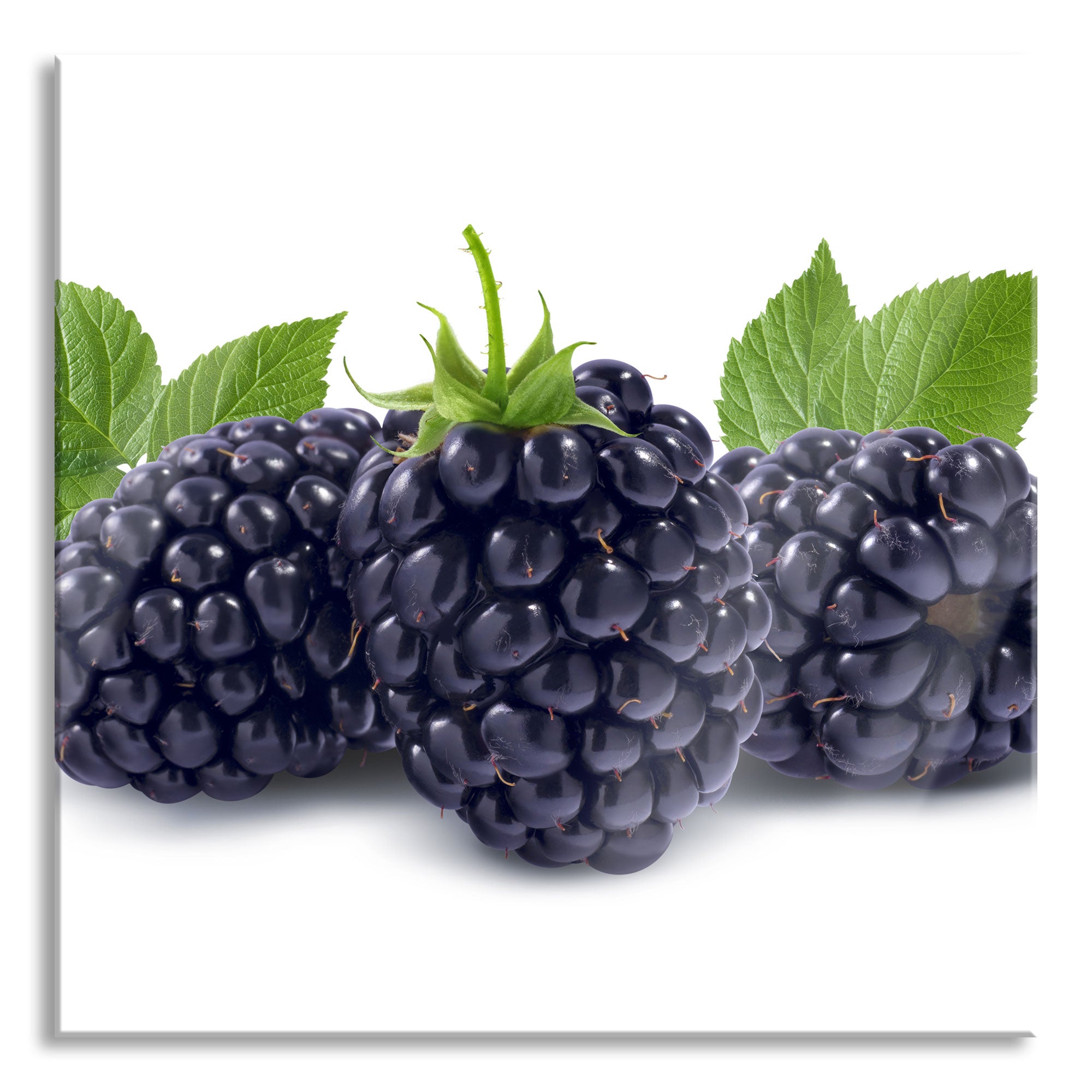 Leckere Brombeeren, Glasbild Quadratisch Mode