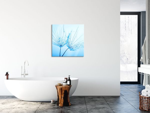 Pusteblumen mit Tautropfen, Glasbild Quadratisch Mode – Bild 4