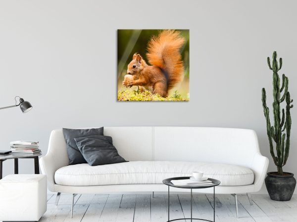Eichhörnchen mit Nuss, Glasbild Quadratisch Im Angebot – Bild 2