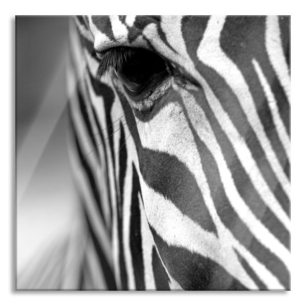 Zebra Nahaufnahme, Glasbild Quadratisch Im Angebot