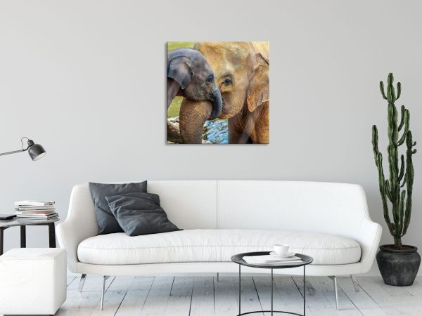 Elefantenmutter mit Kalb, Glasbild Quadratisch Jetzt online – Bild 2