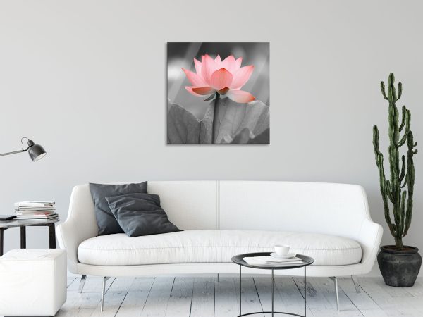 wunderschöner Lotus, Glasbild Quadratisch Online-Schn?ppchen – Bild 2