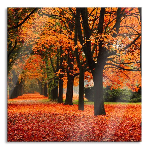 Baumallee im Herbst, Glasbild Quadratisch Mode
