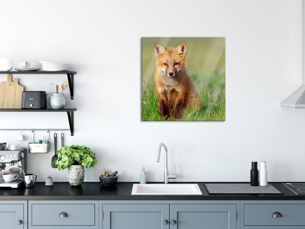 Kleiner Fuchs, Glasbild Quadratisch Jetzt online – Bild 3