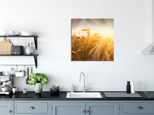 Getreide im Sonnenlicht, Glasbild Quadratisch Angebot – Bild 3