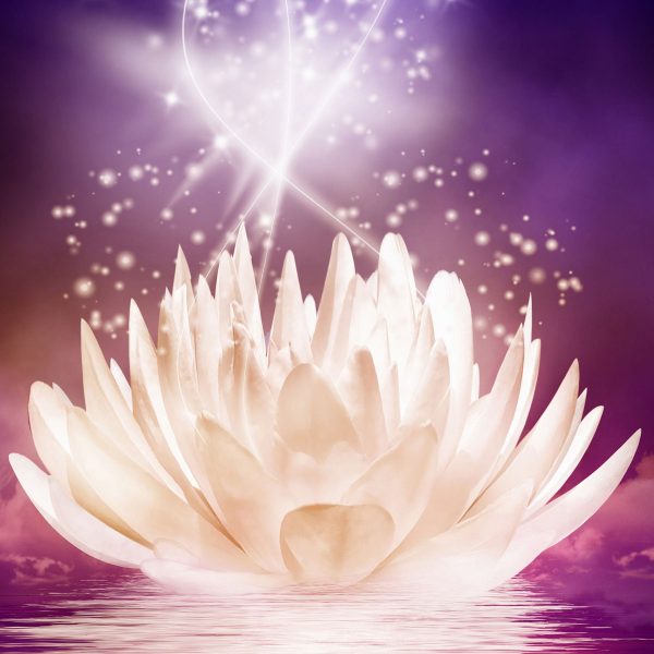 abstrakte Seerose, Glasbild Quadratisch Angebot – Bild 5