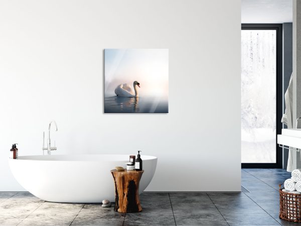 traumhafter weißer Schwan im See, Glasbild Quadratisch Schn?ppchen – Bild 4