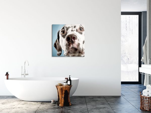 Süßer Dalmatiner, Glasbild Quadratisch Im Angebot – Bild 4
