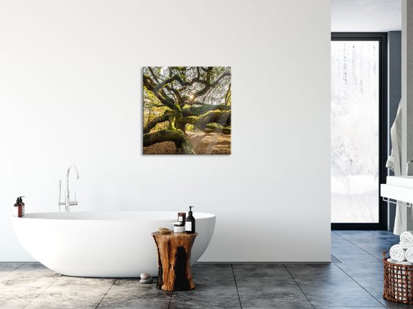 gigantisch verzweigter Baum, Glasbild Quadratisch Jetzt online – Bild 4