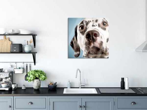 Süßer Dalmatiner, Glasbild Quadratisch Im Angebot – Bild 3
