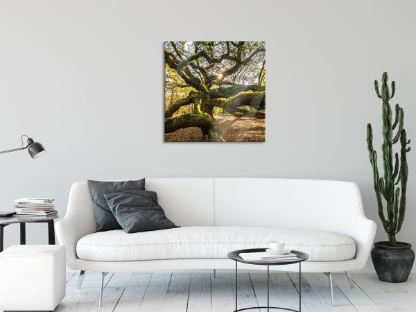 gigantisch verzweigter Baum, Glasbild Quadratisch Jetzt online – Bild 2