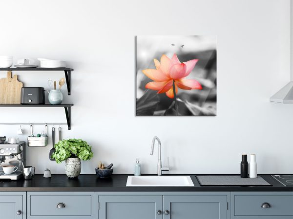 zarter Lotus, Glasbild Quadratisch Jetzt online – Bild 3