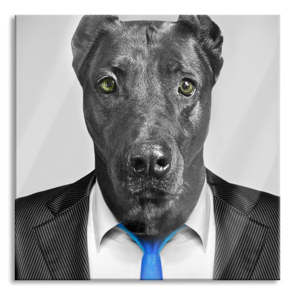 Labrador im Anzug, Glasbild Quadratisch Jetzt online
