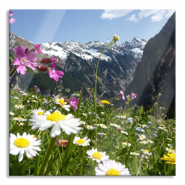 Wunderschöne Blumen Alpenwiese, Glasbild Quadratisch Online-Verkauf