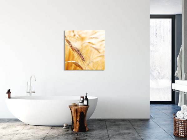 Weizen auf dem Feld, Glasbild Quadratisch Im Angebot – Bild 4