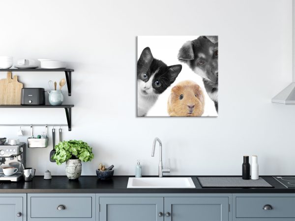 Trio Hund Katze Meerschweinchen, Glasbild Quadratisch Im Angebot – Bild 3