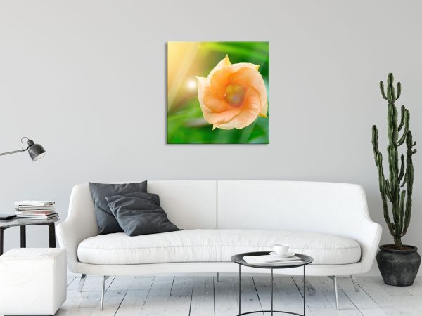 orange Blume im Sonnenlicht, Glasbild Quadratisch Verkauf – Bild 2