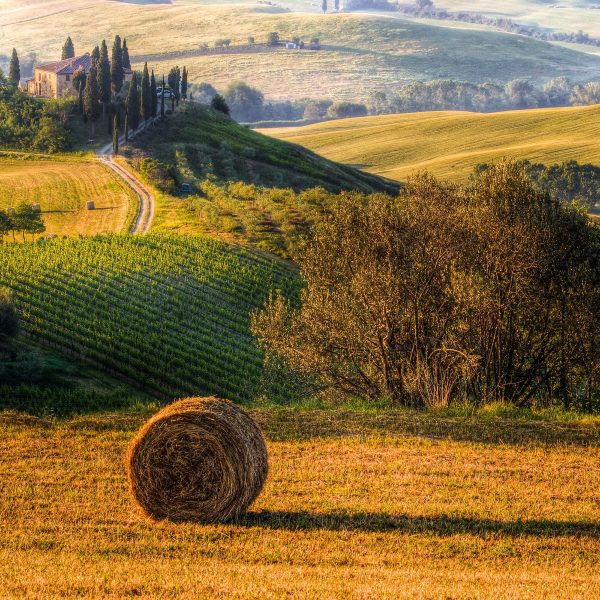 Italienische Toskana Landschaft, Glasbild Quadratisch Online-Schn?ppchen – Bild 5