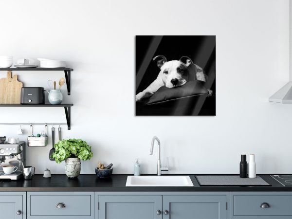 American Staffordshire auf Kissen, Glasbild Quadratisch Rabatt – Bild 3