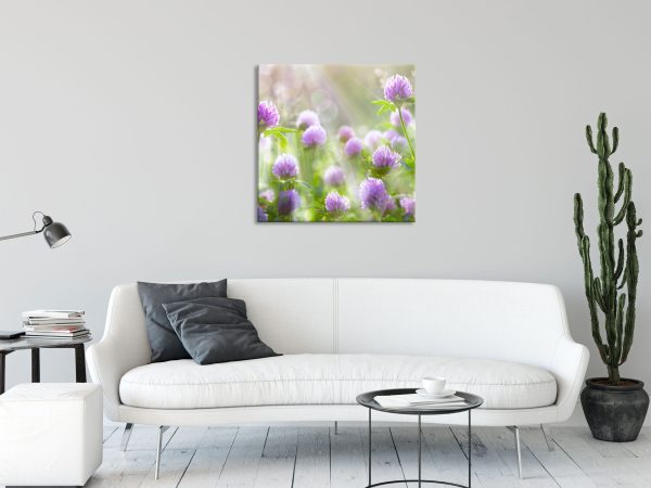 Kleeblüten im Sonnenschein, Glasbild Quadratisch Verkauf – Bild 2