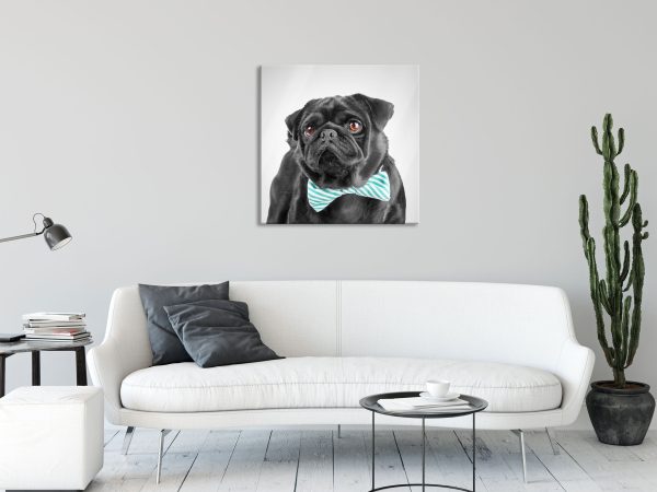 Mops mit lustig gestreifter Fliege, Glasbild Quadratisch Jetzt online – Bild 2